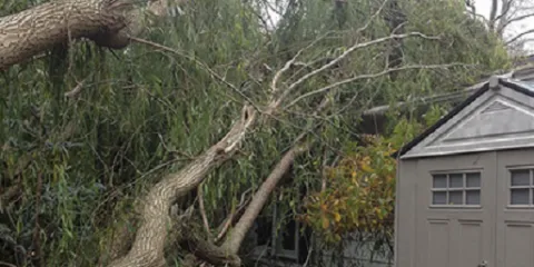 Reliable lawn mowing service for residential properties in Macedon, NY by T & L Tree And Landscape