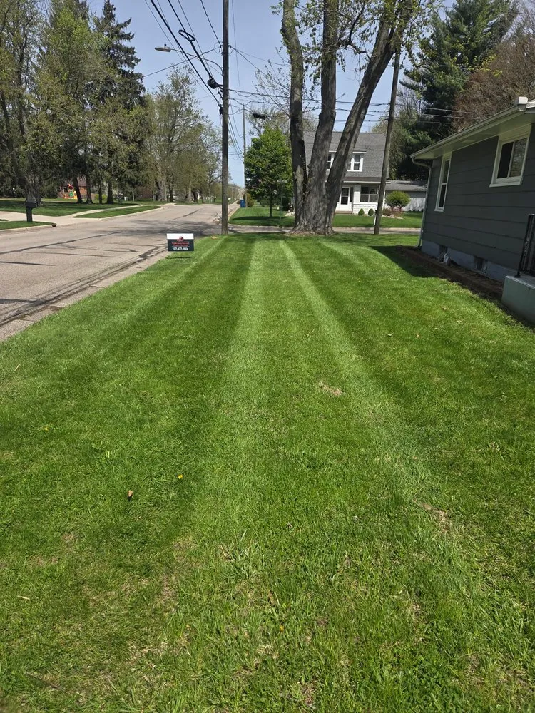 Professional yard maintenance in Bronson, MI - T & M Lawn Care and Property Services