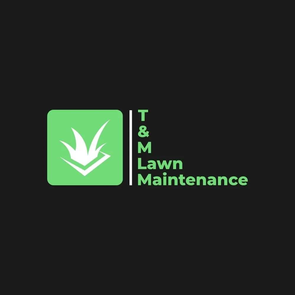 Professional yard maintenance in Buda, TX by T & M Lawn Maintenance