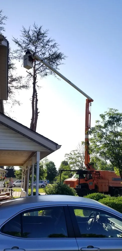 Custom landscape design with custom design across Owensburg, IN - T & M Tree Services