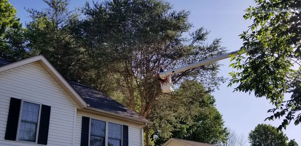 Expert landscape design in Owensburg, IN - T & M Tree Services