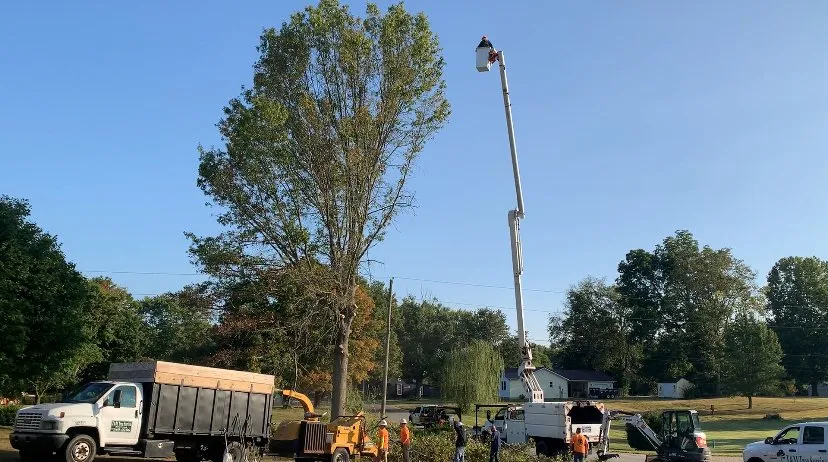 Local outdoor landscaping in Owensburg, IN by T & M Tree Services
