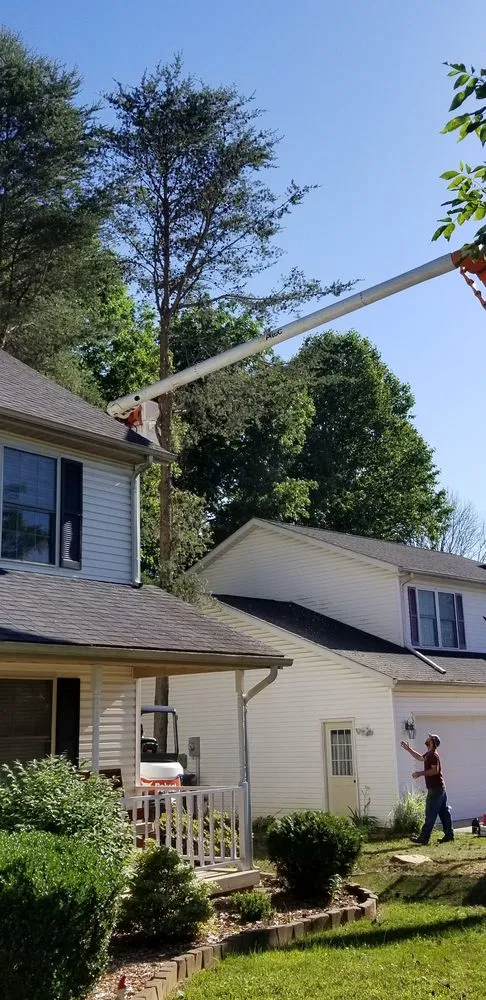 Reliable landscape installation experts serving Owensburg, IN - T & M Tree Services
