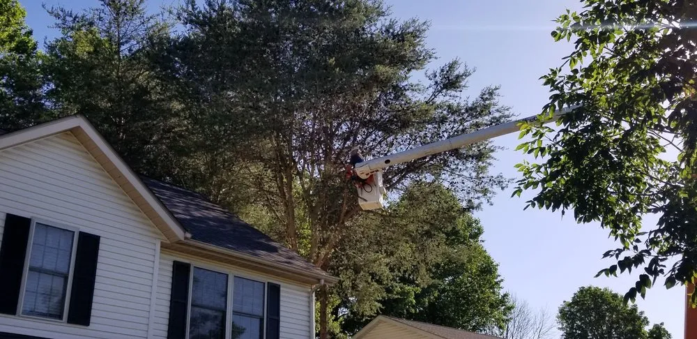 Top-rated yard maintenance for residential properties across Owensburg, IN - T & M Tree Services