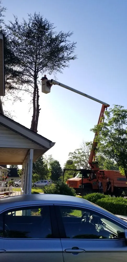 Affordable landscape design experts serving Owensburg, IN - T & M Tree Services