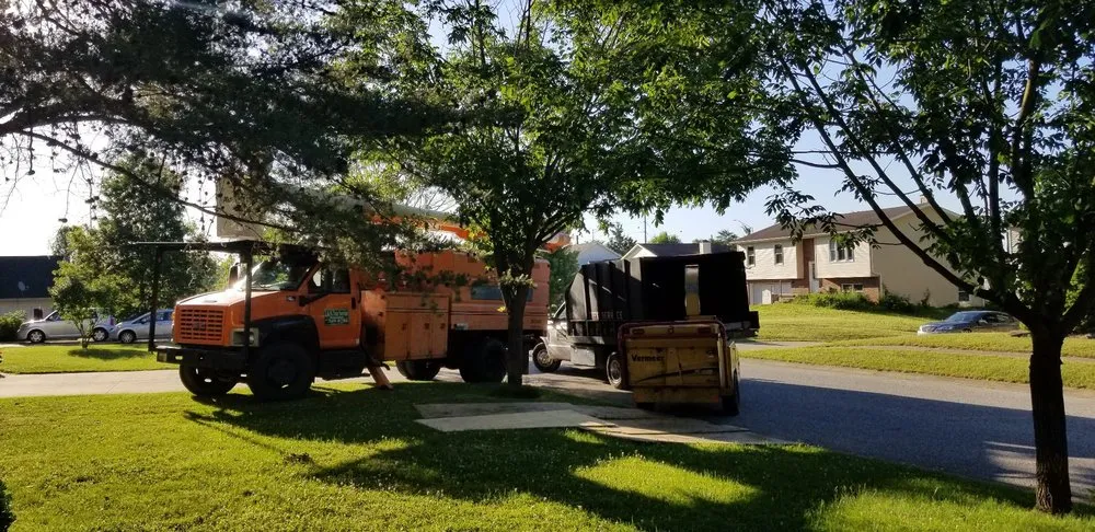 Local landscaping services for year-round maintenance across Owensburg, IN - T & M Tree Services