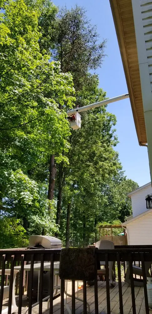 Top-rated residential landscaping for beautiful yards in Owensburg, IN by T & M Tree Services