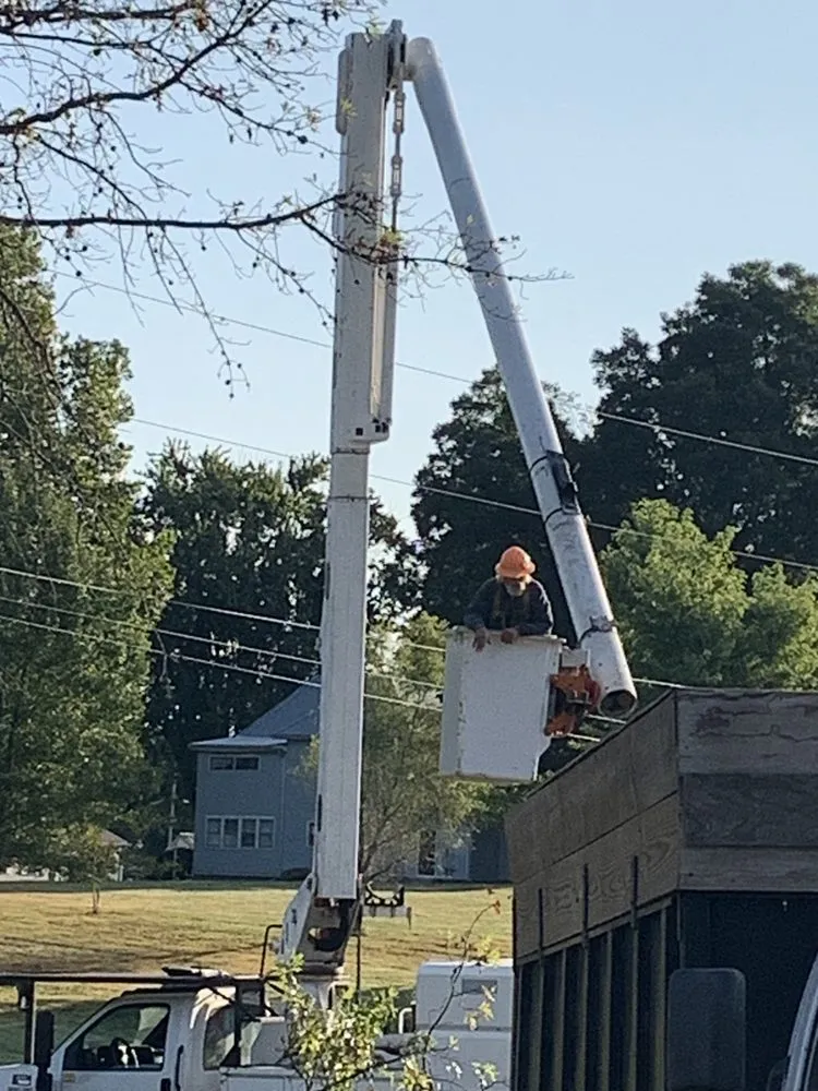 Expert garden landscaping experts serving Owensburg, IN - T & M Tree Services