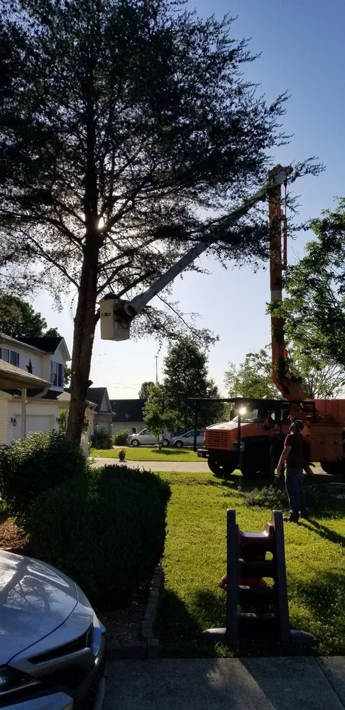 Custom lawn mowing service in Owensburg, IN - T & M Tree Services