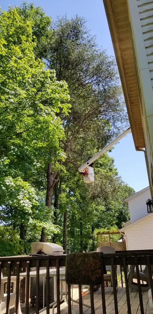 Custom residential landscaping for beautiful yards across Owensburg, IN - T & M Tree Services