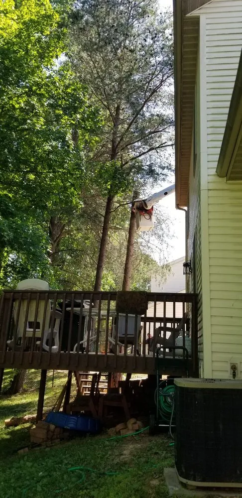 Expert residential landscaping for year-round maintenance across Owensburg, IN - T & M Tree Services