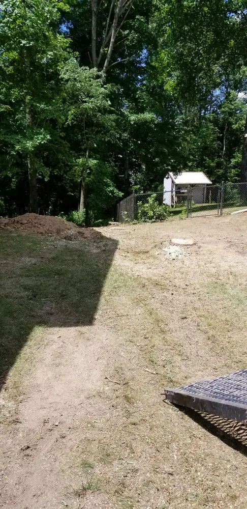 Trusted landscape installation in Owensburg, IN by T & M Tree Services