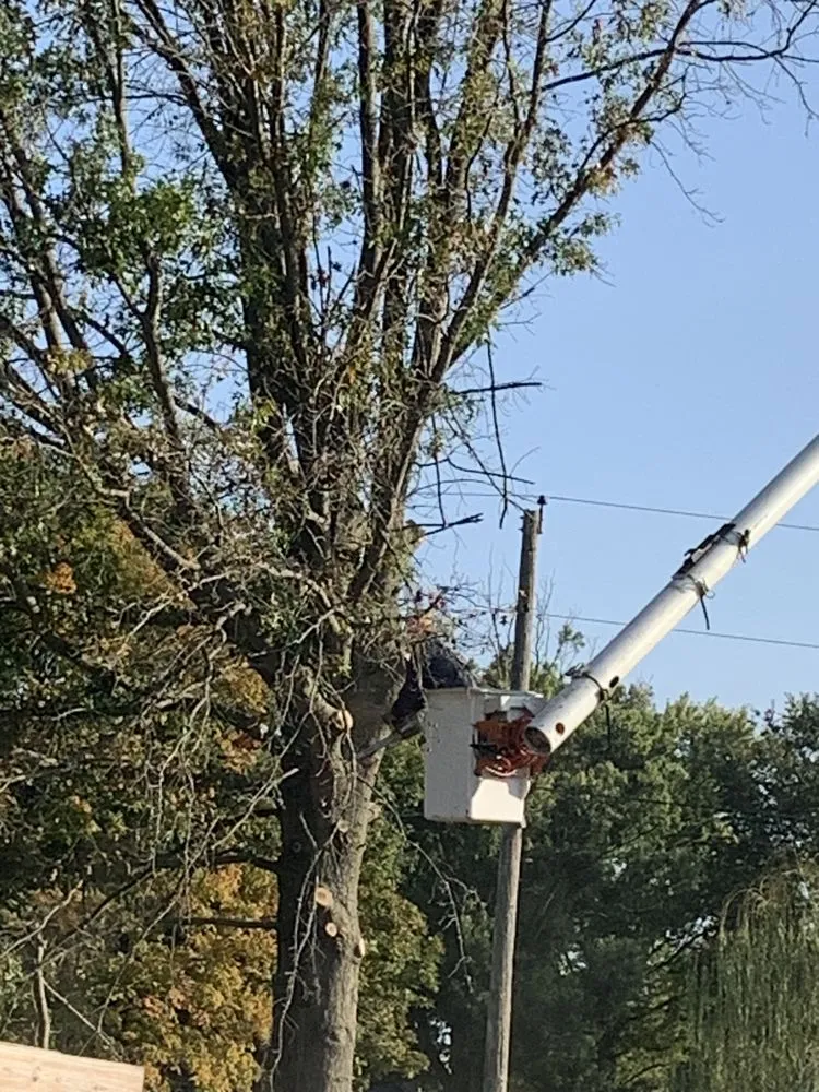 Trusted garden landscaping experts serving Owensburg, IN - T & M Tree Services