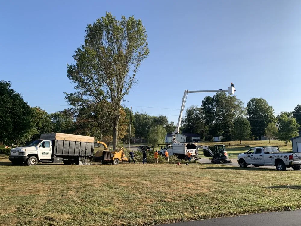 Affordable residential landscaping with custom design in Owensburg, IN by T & M Tree Services