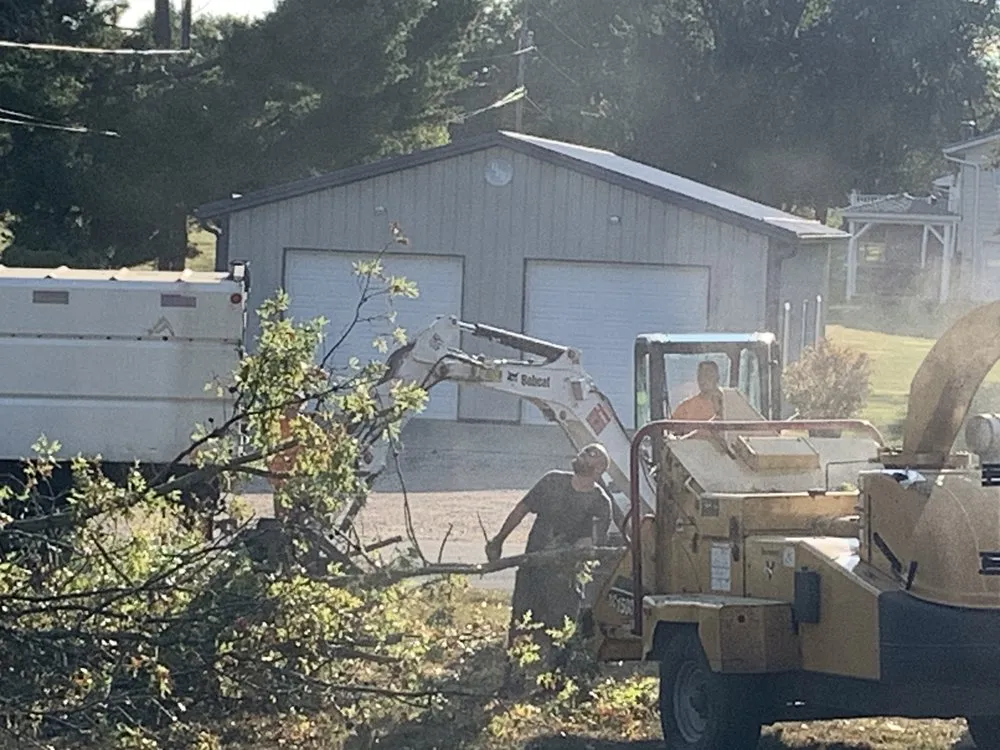Custom yard cleanup service in Owensburg, IN - T & M Tree Services