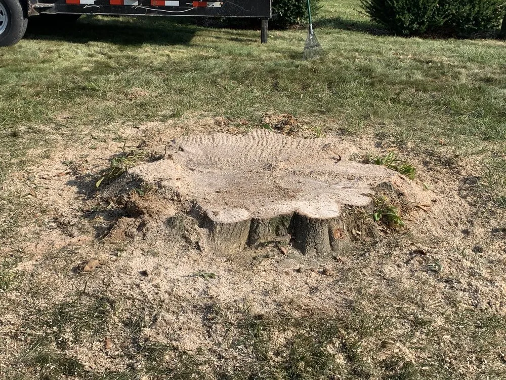 Affordable landscape installation in Owensburg, IN - T & M Tree Services
