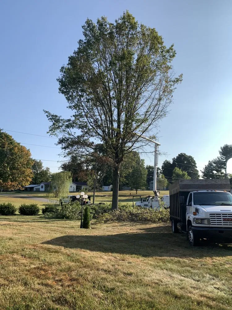Local landscape design experts serving Owensburg, IN - T & M Tree Services