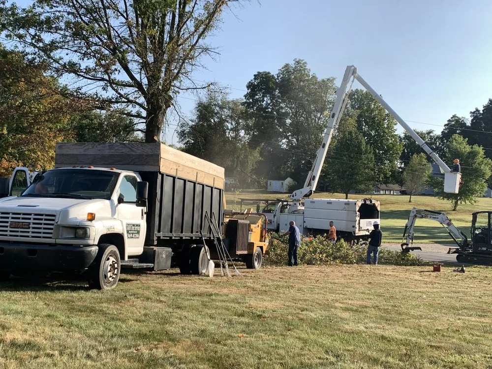 Professional landscape design for residential properties in Owensburg, IN by T & M Tree Services