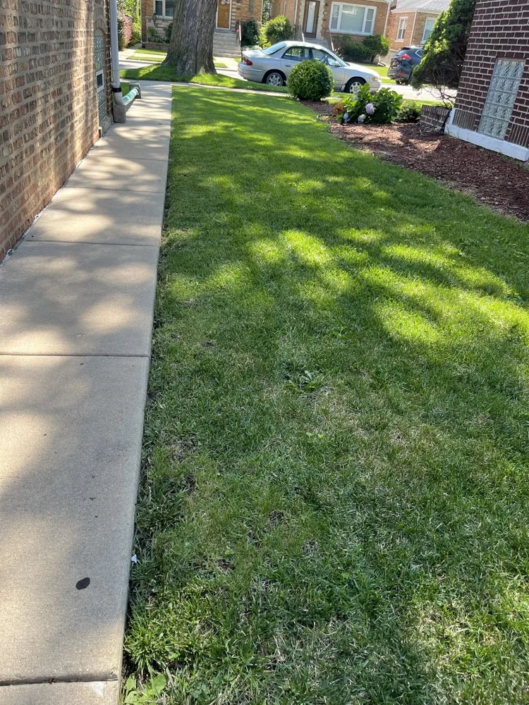 Custom yard cleanup service for outdoor upgrades in Chicago, IL by T & M Yard Care