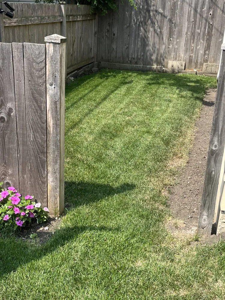 Local landscaping services in Chicago, IL - T & M Yard Care