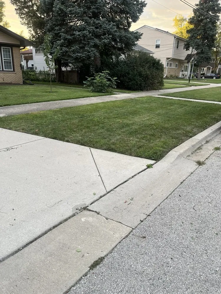 Expert landscape design in Chicago, IL by T & M Yard Care