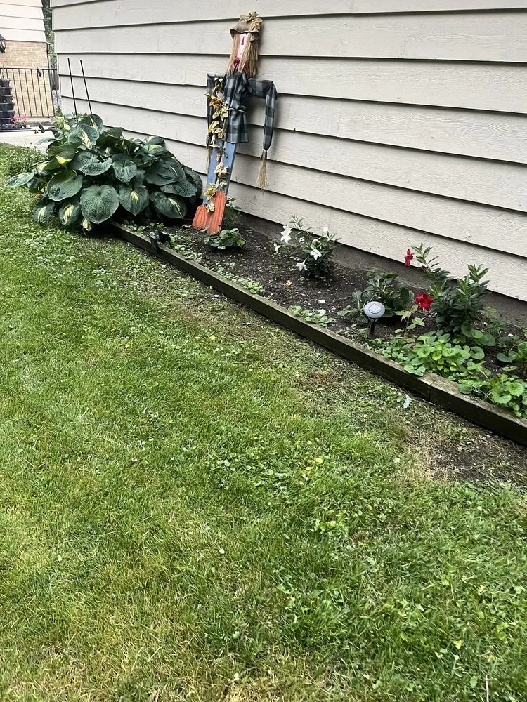 Expert lawn care service experts serving Chicago, IL - T & M Yard Care