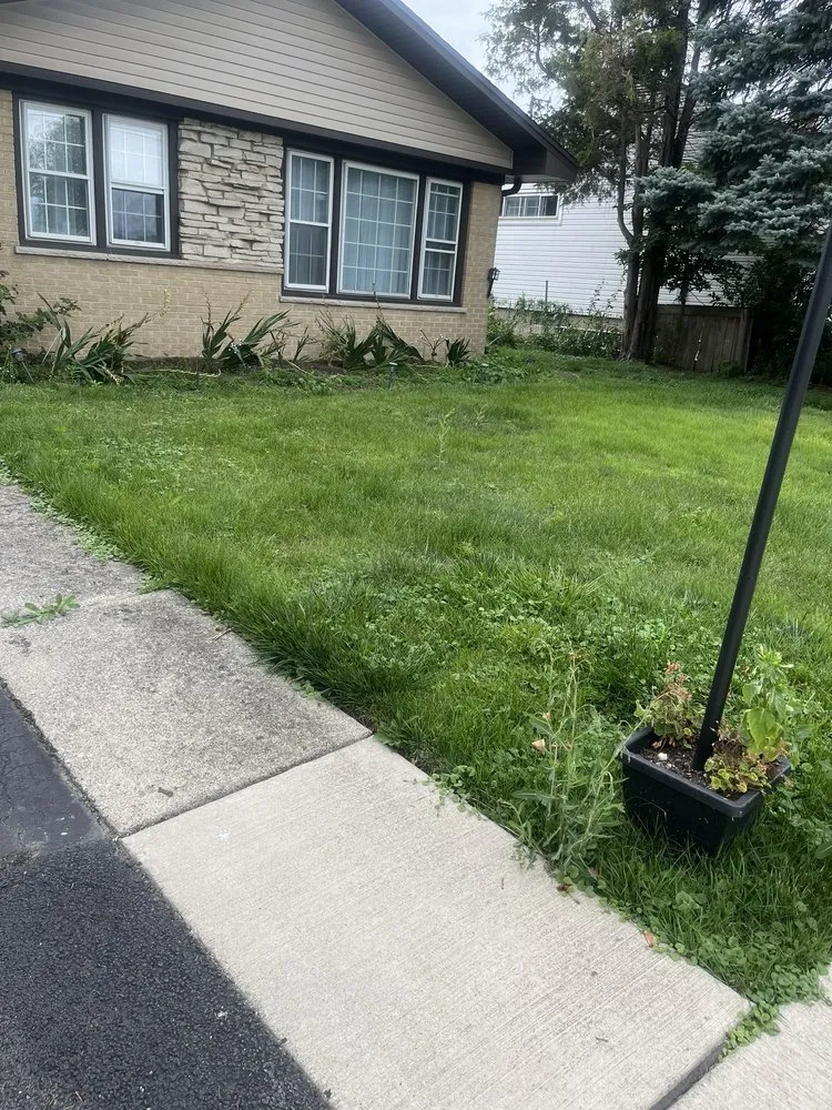 Expert landscape design for year-round maintenance in Chicago, IL by T & M Yard Care