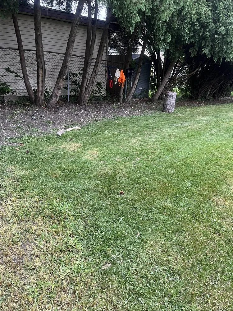 Expert outdoor landscaping near you across Chicago, IL - T & M Yard Care