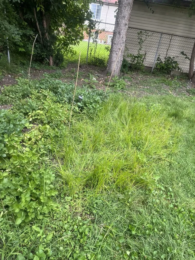 Trusted outdoor landscaping in Chicago, IL - T & M Yard Care