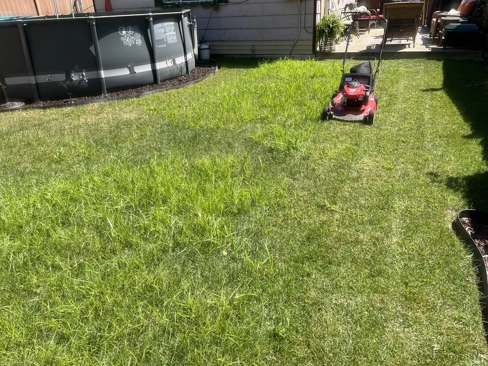 Local lawn care service in Chicago, IL - T & M Yard Care
