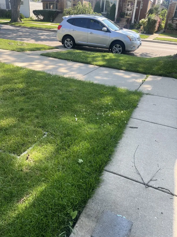 Local yard maintenance near you across Chicago, IL - T & M Yard Care