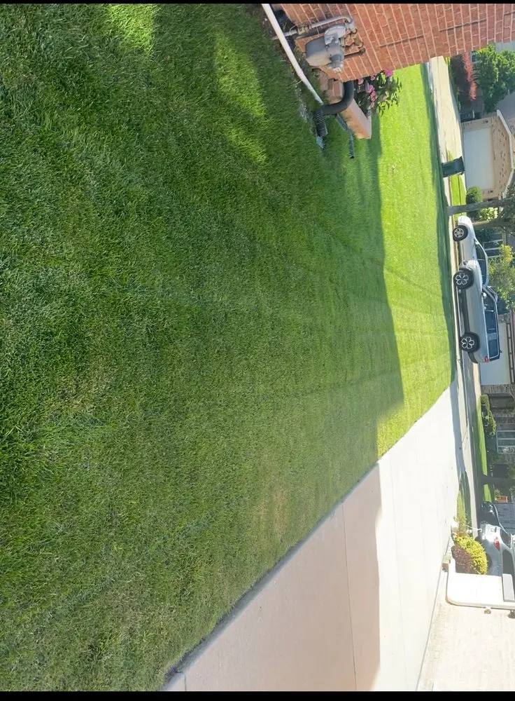 Expert lawn care service in Chicago, IL - T & M Yard Care