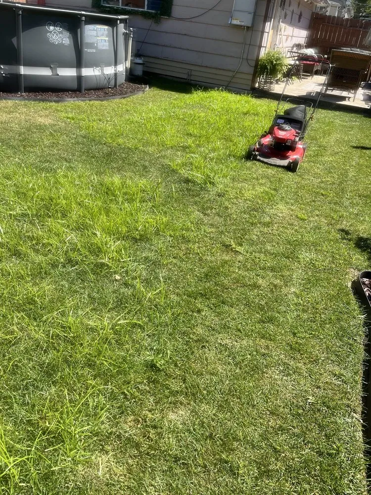 Expert residential landscaping in Chicago, IL - T & M Yard Care