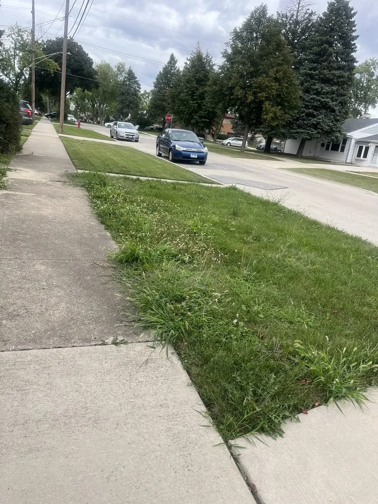 Local residential landscaping for outdoor upgrades across Chicago, IL - T & M Yard Care