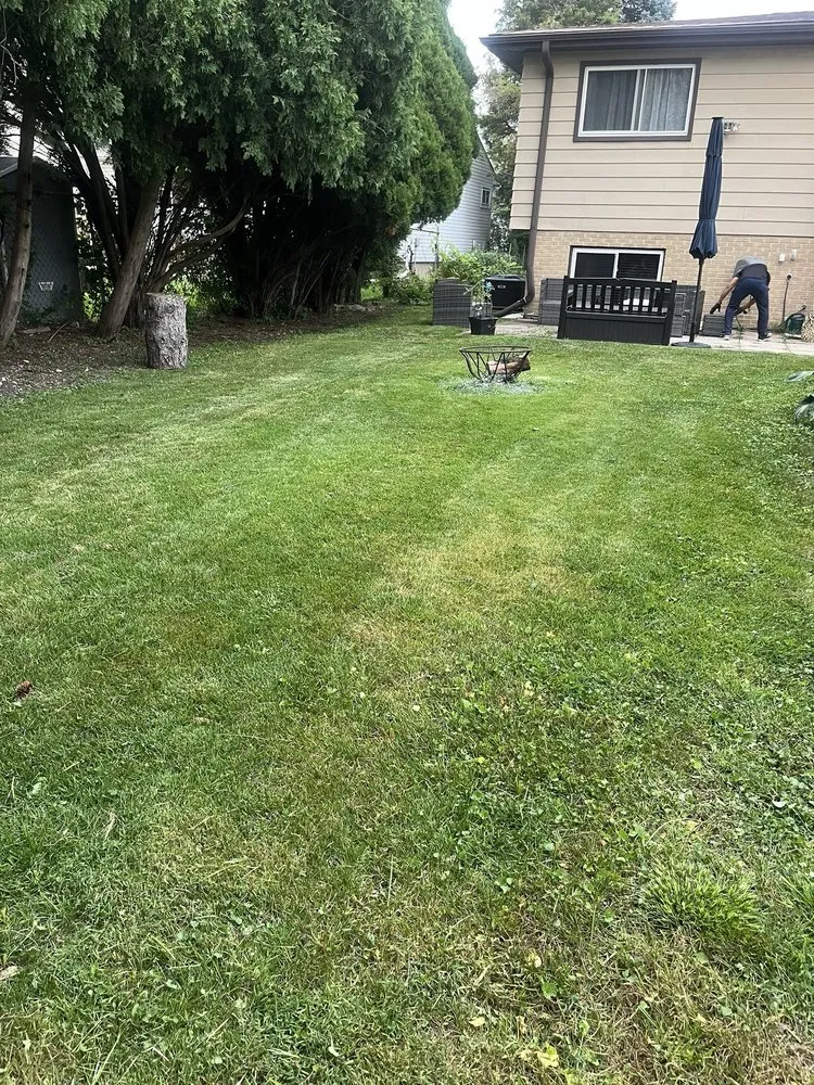 Reliable landscape design in Chicago, IL by T & M Yard Care