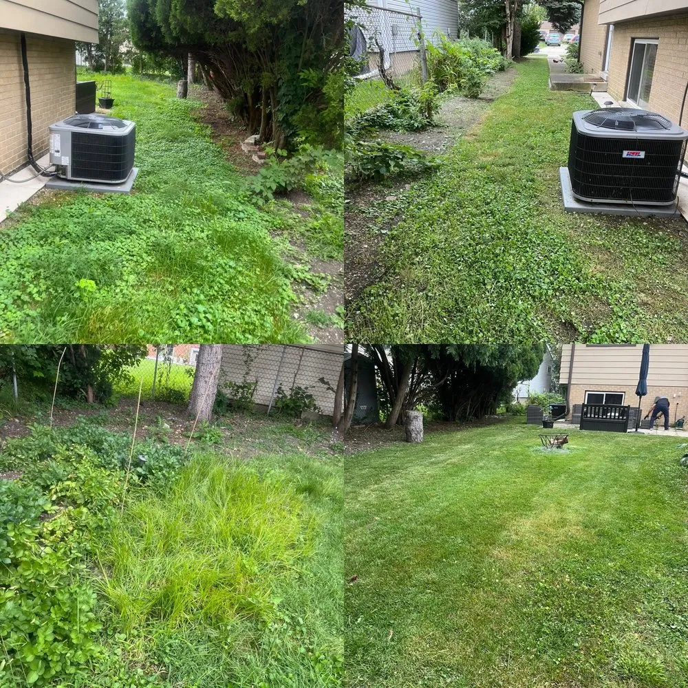 Trusted lawn care service for beautiful yards across Chicago, IL - T & M Yard Care