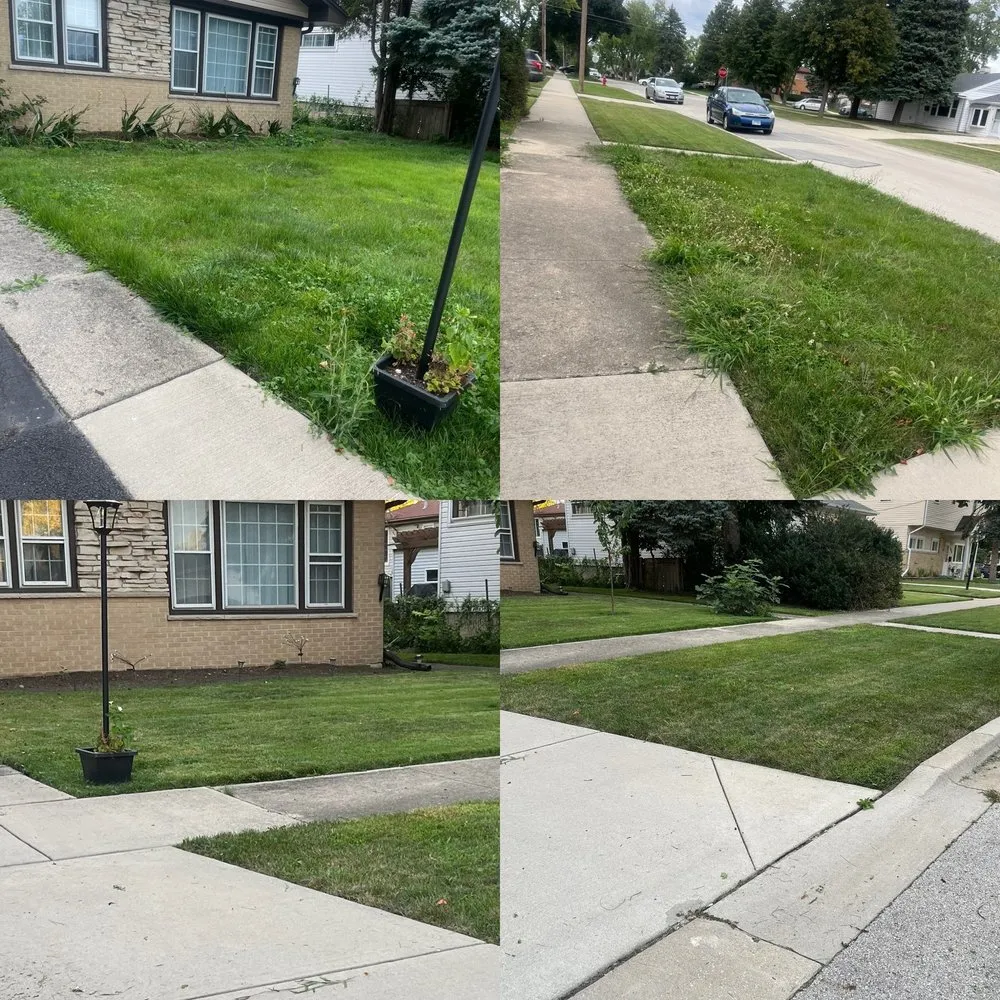 Custom lawn care service for beautiful yards across Chicago, IL - T & M Yard Care