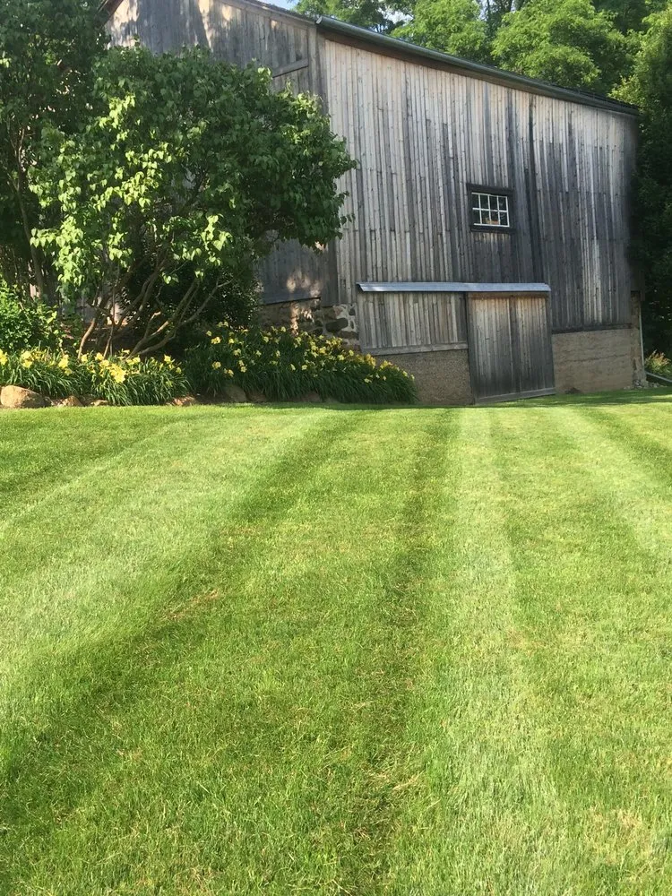 Expert landscaping services with custom design across Manchester, MI - T & N Service