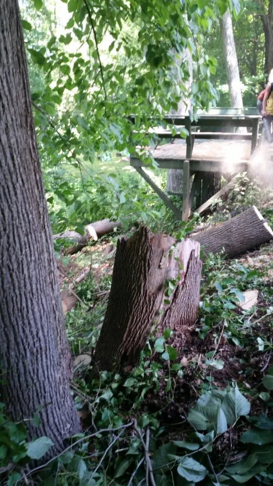 Expert garden landscaping for beautiful yards in Montgomery, MA by T & N Tree Service