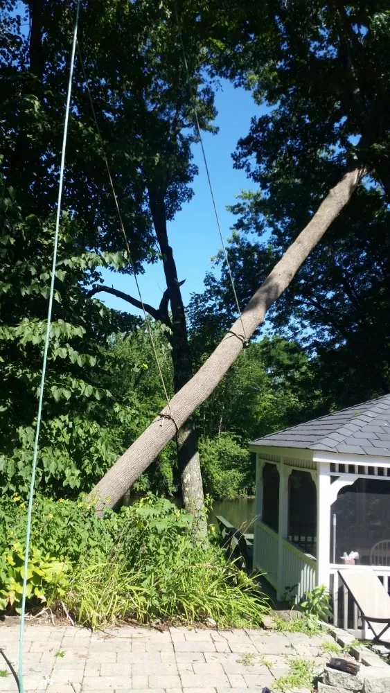 Expert landscaping services for year-round maintenance across Montgomery, MA - T & N Tree Service