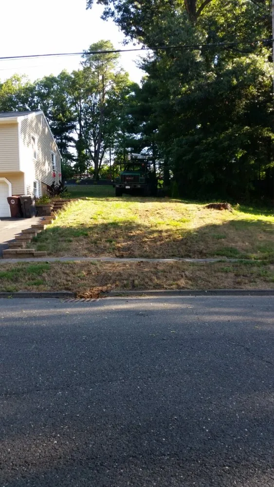 Expert yard cleanup service in Montgomery, MA - T & N Tree Service
