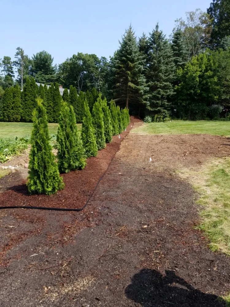 Expert yard maintenance in Montgomery, MA - T & N Tree Service