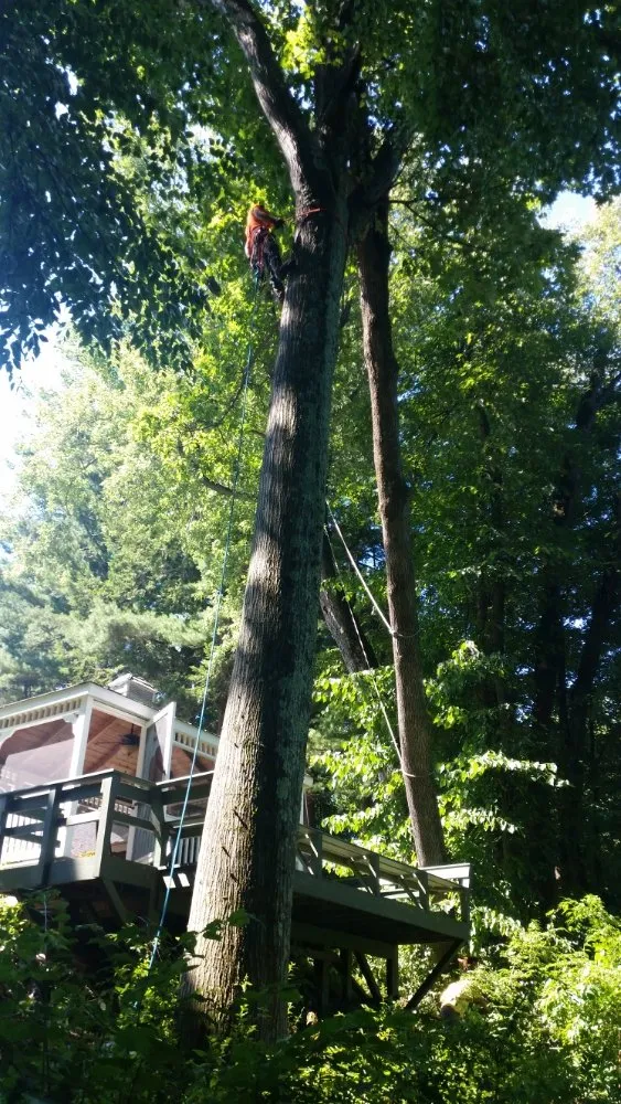 Custom outdoor landscaping in Montgomery, MA by T & N Tree Service