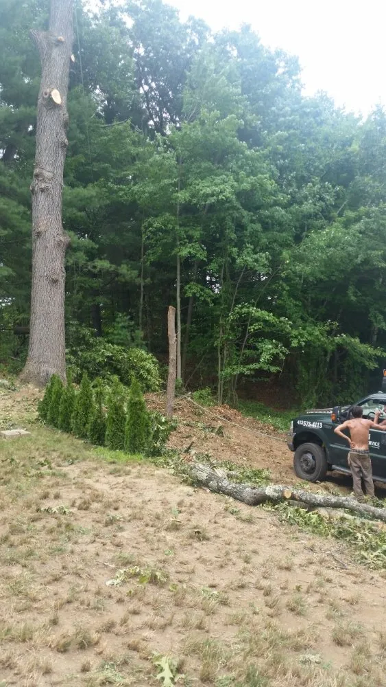 Reliable outdoor landscaping in Montgomery, MA by T & N Tree Service