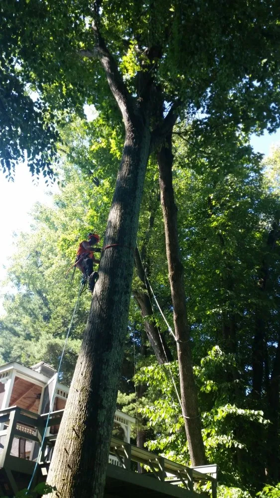Expert garden landscaping for homes in Montgomery, MA by T & N Tree Service