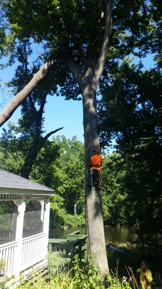 Affordable lawn mowing service in Montgomery, MA - T & N Tree Service