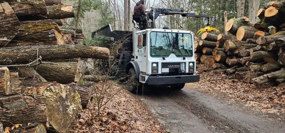 Reliable landscaping services near you across Montgomery, MA - T & N Tree Service