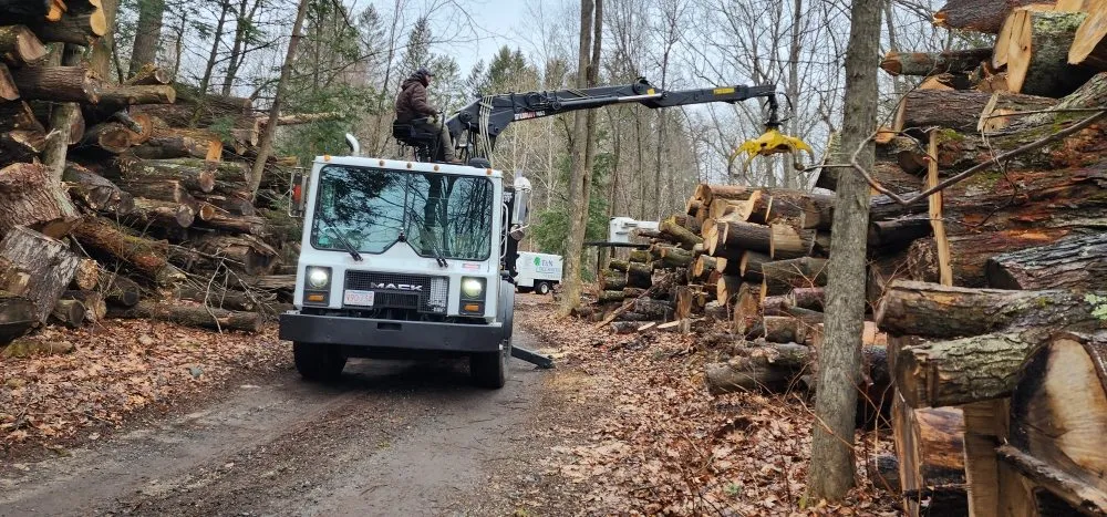 Top-rated outdoor landscaping for residential properties across Montgomery, MA - T & N Tree Service