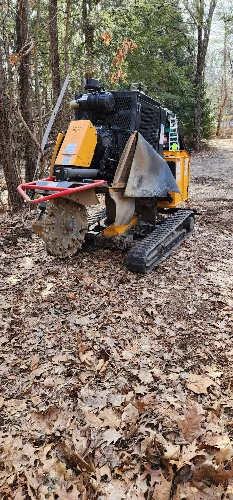 Professional garden landscaping for year-round maintenance in Montgomery, MA by T & N Tree Service