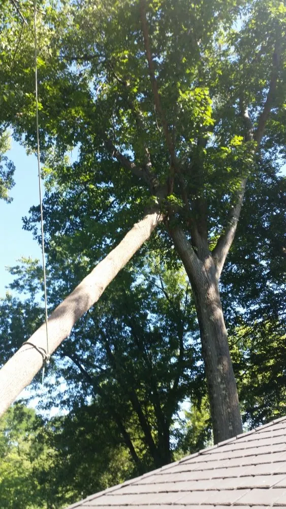 Custom lawn mowing service with custom design across Montgomery, MA - T & N Tree Service